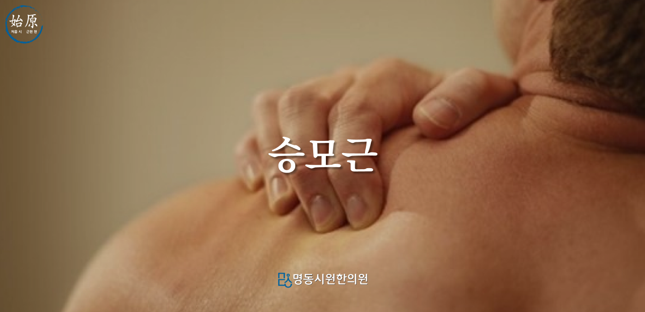 03-승모근-메인이미지-1